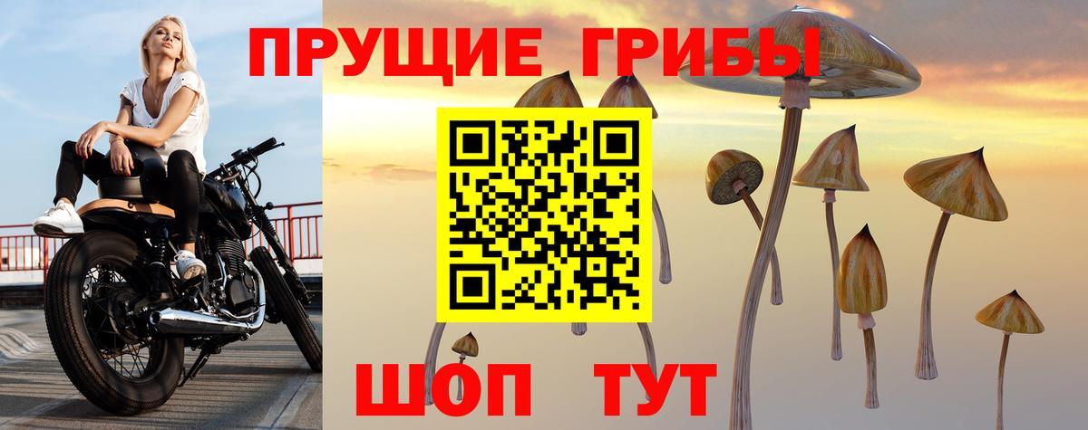 Псилоцибиновые грибы мицелий Амурск
